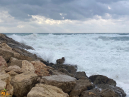 حالة الطقس: أجواء ماطرة وباردة ترافق العاصفة "كرمل"